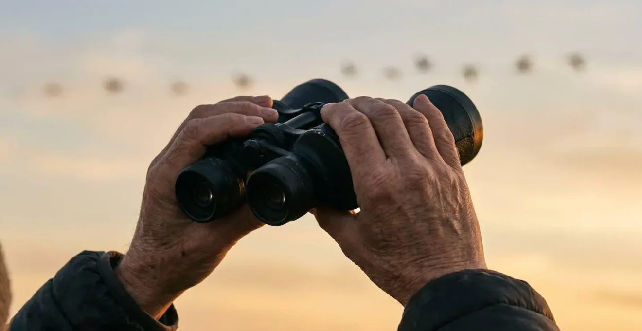 Mani che tengono un binocolo durante l'osservazione degli uccelli migratori all'alba con luce diffusa