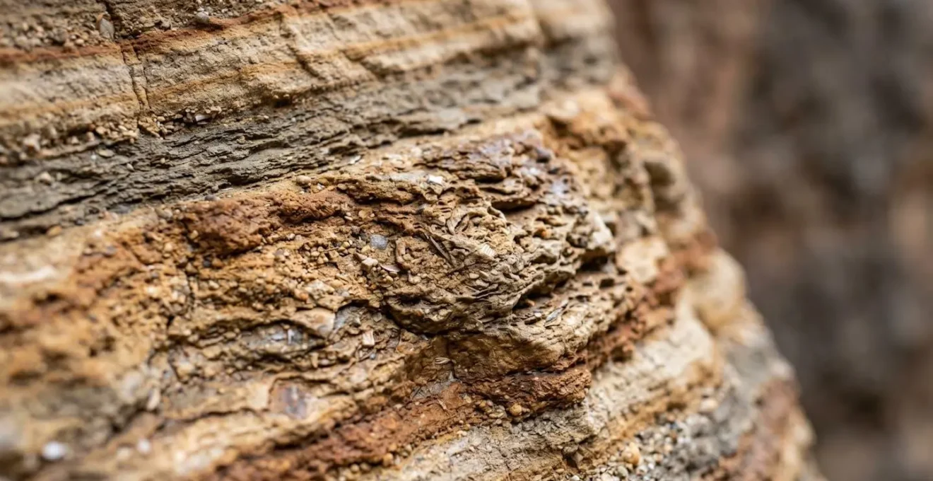 Dettaglio macro di stratificazione geologica e texture rocciosa che rivela la storia del paesaggio