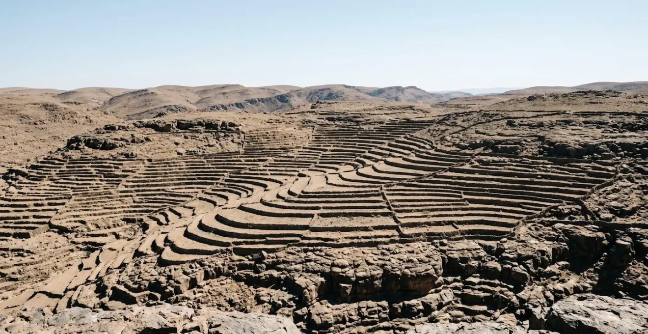 Luce verticale di mezzogiorno che rivela la micro-topografia e le texture del terreno con ombre cortissime