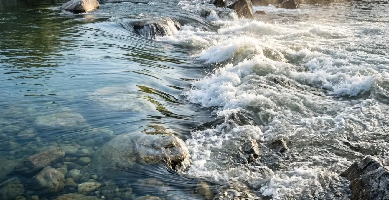 Contrasto visivo tra acqua calma e turbolenta per illustrare la trasformazione di un fiume dopo forti piogge